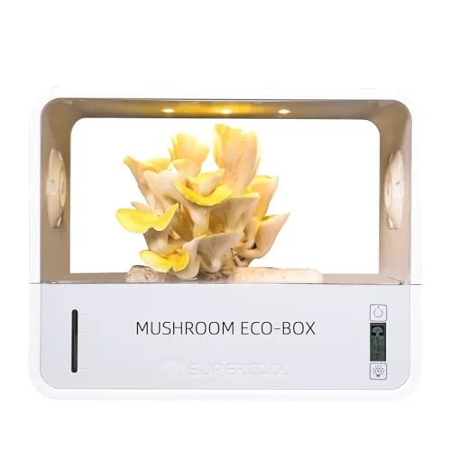 Crownow Mushroom Grow Tent with Humidity Display