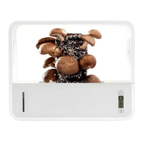 Generic Smart Mushroom Grow Box Still Air Enclosure