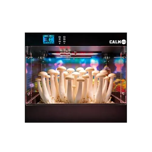 MOFOGDR Eco Box Automated Mushroom Fruiting Chamber