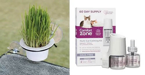 K&H EZ Mount Cat Grass Station + Comfort Zone Diffuser