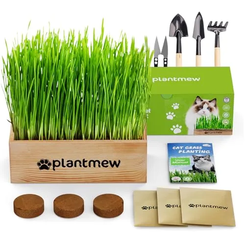 PLANTMEW Cat Grass Kit 3-Pack with Wooden Planter
