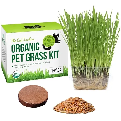 The Cat Ladies Organic Cat Grass Kit BPA-Free