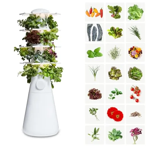 8 Best Automated Vertical Lettuce Growers (2026 Review Guide)