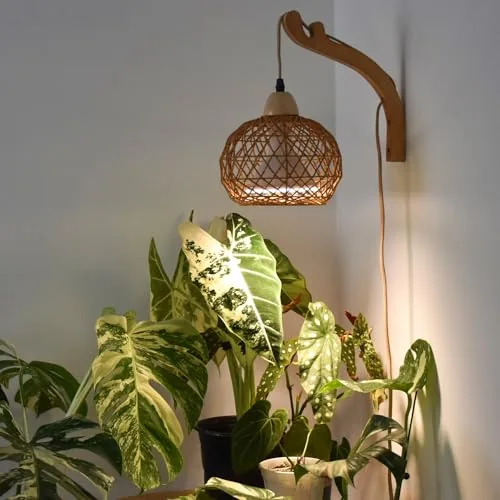 Bstrip Boho Rattan Hanging Grow Light 18W Full Spectrum