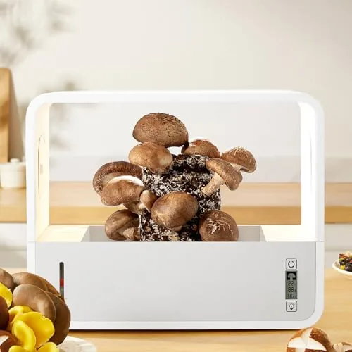 Luocute Mushroom Grow Box with LED and Auto Humidity