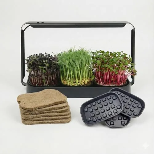 Asphalt Rose Microgreens Kit with LED Grow Light