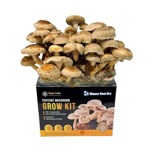 Myco Labs Shiitake Grow Kit 5.5lb Indoor Bag