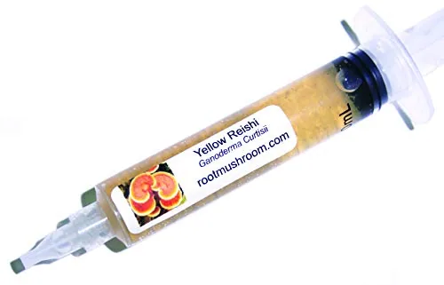 Root Mushroom Farm Yellow Reishi Liquid Culture 10cc