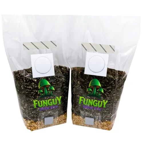 FunGuy 2-Pack All-in-One Rye Grain Mushroom Grow Bags