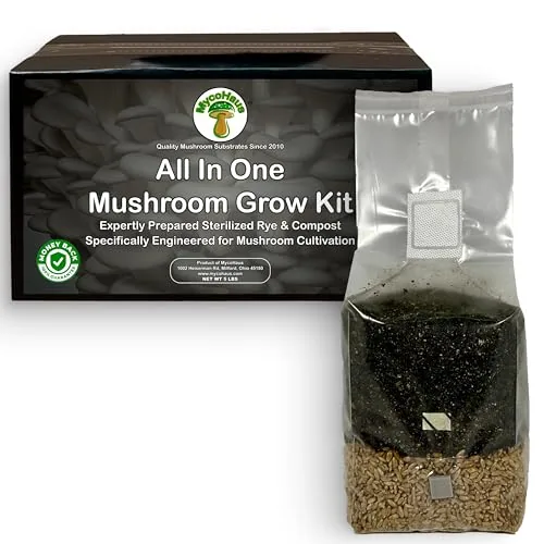 MycoHaus All-in-One Mushroom Grow Bag with Injection Port
