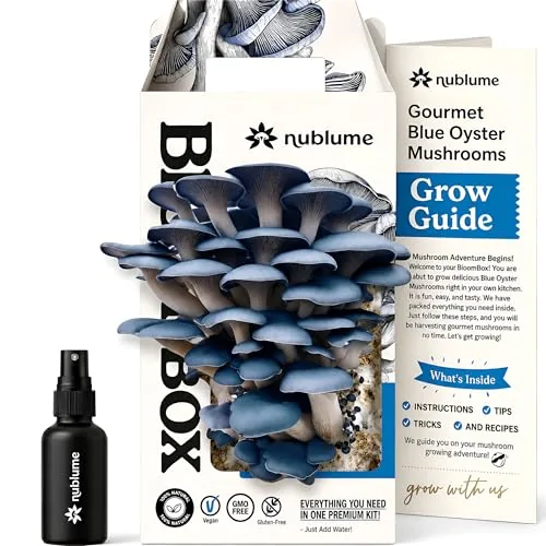 NuBlume BloomBox Blue Oyster Kit - Pre-Inoculated