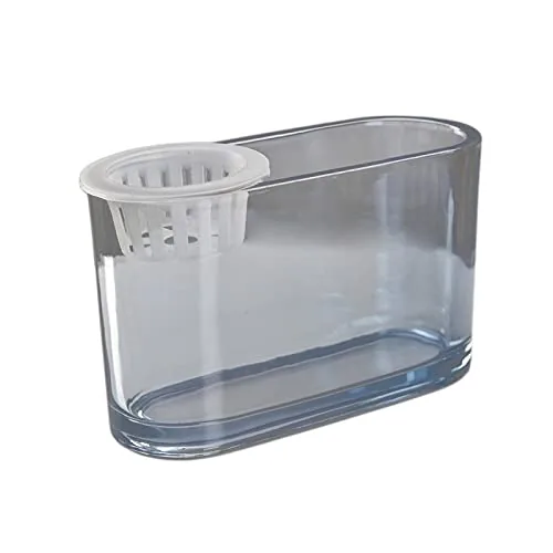 Bothyi Aquaponic Glass Fish Tank Vase 20x10x12cm