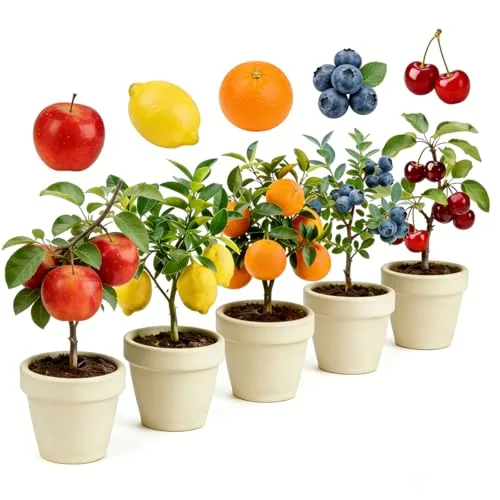 Mixrug Dwarf Bonsai Fruit Tree Seeds 5-Variety Pack