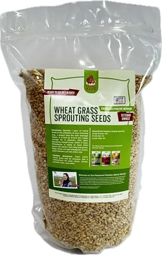 Pampered Chicken Mama Non-GMO Wheat Fodder Seeds 3lb