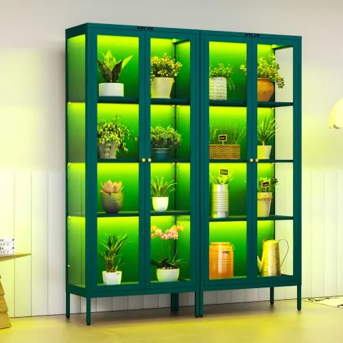 Polup Glass Display Cabinet with LED Lights 66in