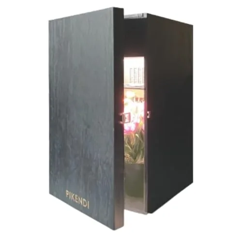 Bonsanto Pikendi Mini Grow Box 35W LED Full Kit