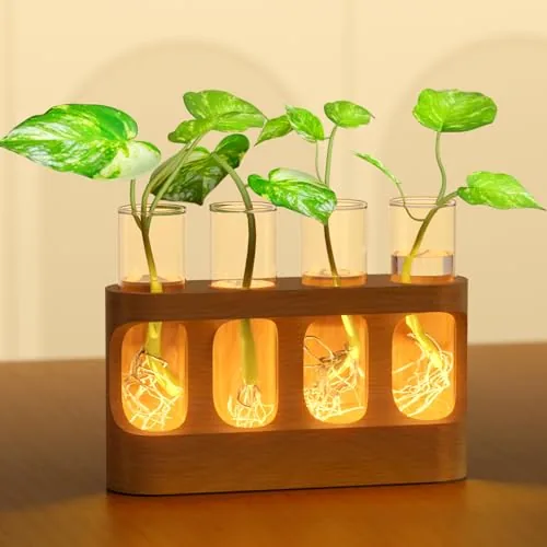 Giunn Propagation Station 4-Tube Stand with Grow Light