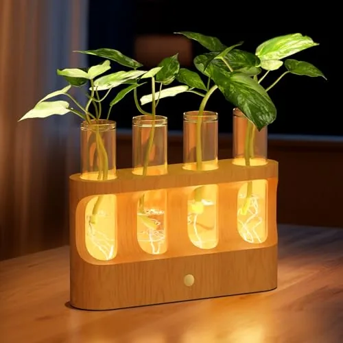 Lightalent LED Propagation Station with Beech Wood Stand