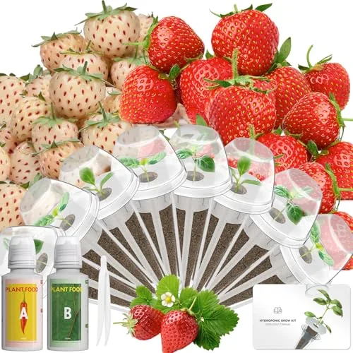 LYKOCLEAN Strawberry Herb Seed Pod Kit for AeroGarden 8-Pod