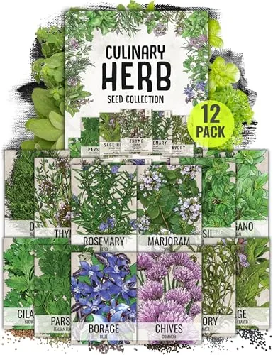 Seed Needs 12-Packet Heirloom Culinary Herb Seed Collection