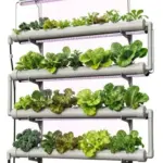 DPROOTS 36-Pod NFT Wall-Mounted Hydroponic Garden