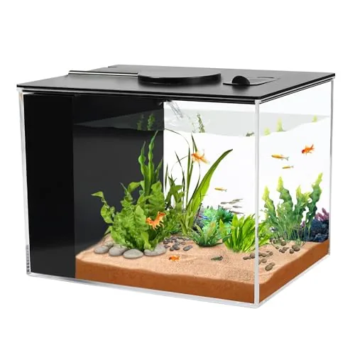 AQUANEAT 1-Gallon Betta Tank with LED and Filter
