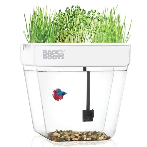 9 Best Indoor Aquaponics Systems With Fish Tanks (2026 Review Guide)