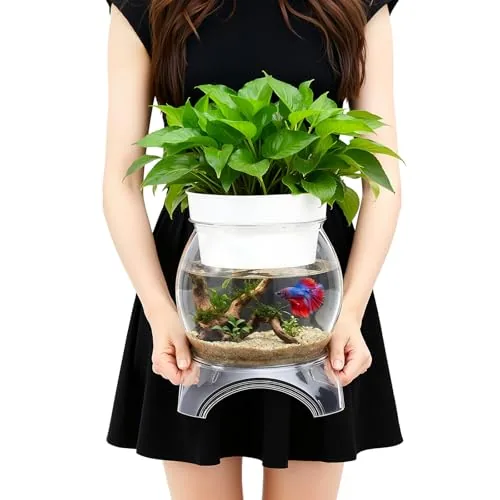 Geelin 0.5 Gal Aquaponic Betta Tank with Base