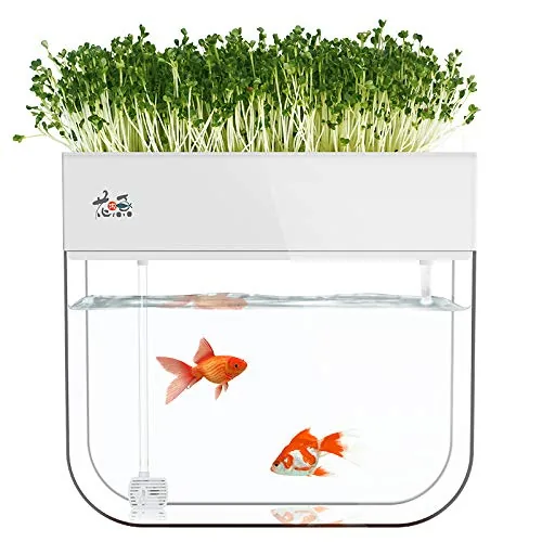 Huamuyu Aquaponic Fish Tank with Hydroponic Grow Tray