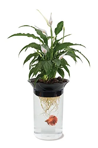 Penn-Plax Aquaponic Betta Tank with Hydroponic Planter