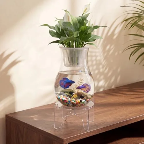 Thenshop 1-Gallon Aquaponic Betta Bowl with Base and Top