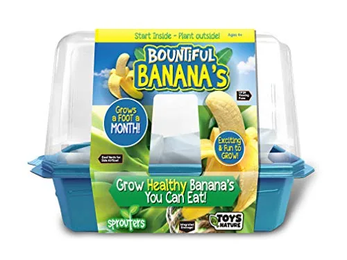 Unique Gardener Musa Velutina Banana Terrarium Starter Kit