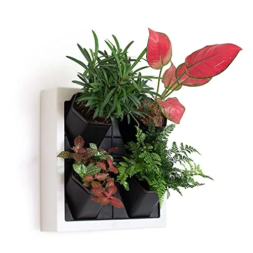 Inspiration Jungle 4-Pot Self-Watering Wall Planter White