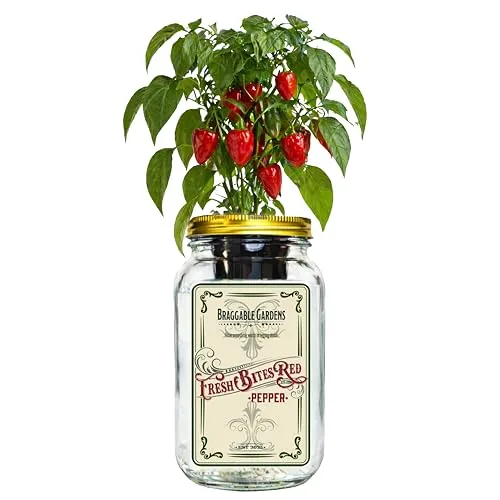 Braggable Gardens Fresh Bites Mini Bell Pepper Hydroponic Kit