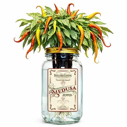 Braggable Gardens Medusa Pepper Hydroponic Mason Jar Kit