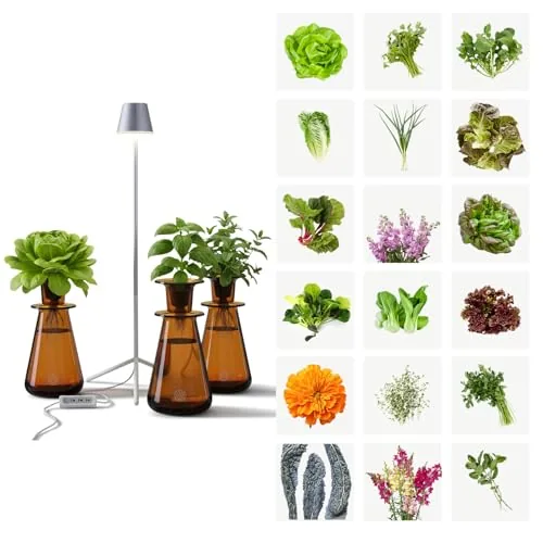 Lettuce Grow Counterstand Hydroponic Kit with LED Light