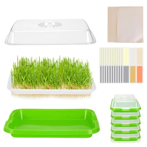PilavAloo 6-Pack Microgreens Trays with Lids and Mesh