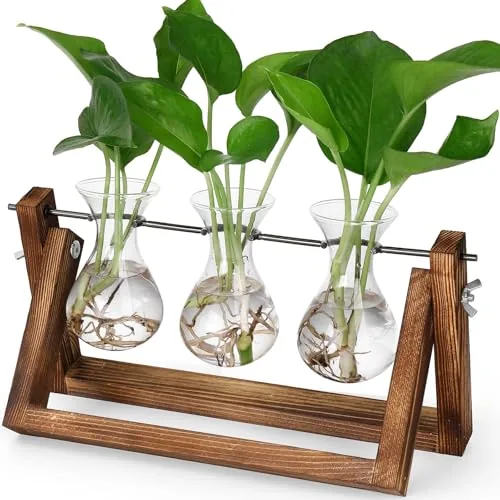 YIBOT 3-Vase Propagation Station with Wooden Stand