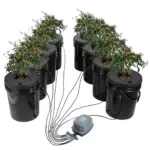 VEVOR DWC 8-Bucket 5-Gallon Deep Water Culture Kit