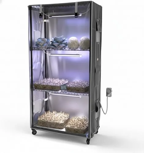 MOLLYAIR Mushroom Grow Tent with T8 Light and Timer