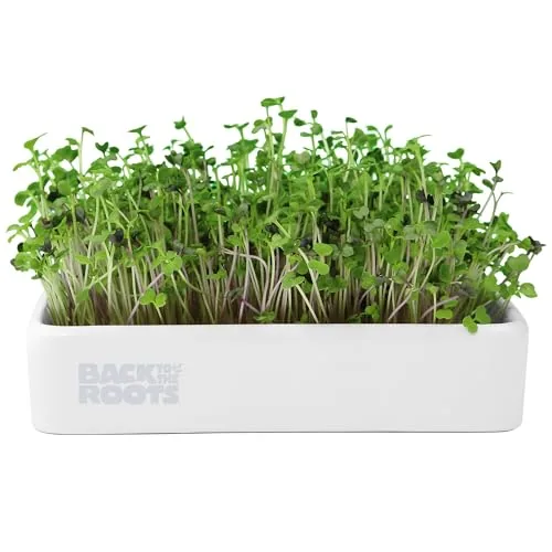 Back to the Roots Organic Microgreens Kit with Ceramic Planter