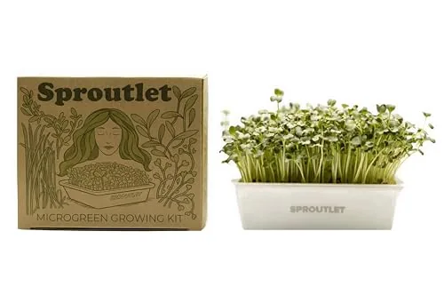 Modern Grower Sproutlet Self-Watering Microgreens Kit 3-Pack