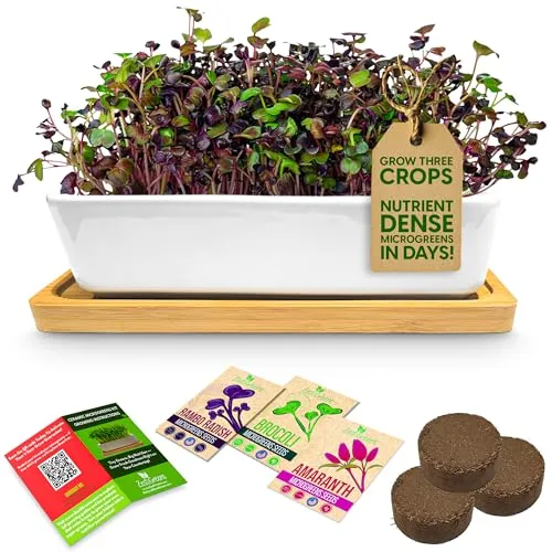 ZESTIGREENS Ceramic Microgreens Kit 3-Crop Starter Set