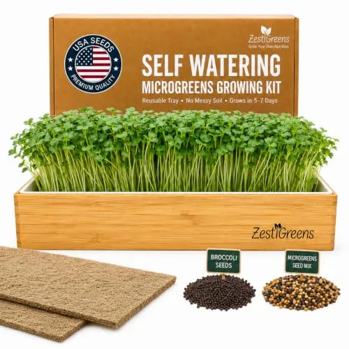 ZestiGreens Organic Self-Watering Microgreens Kit 12x6 Tray