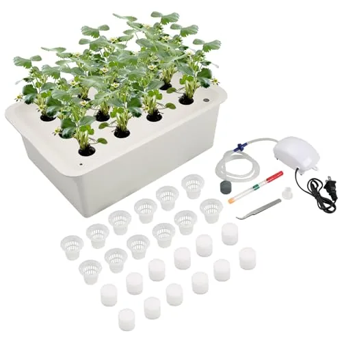 NATGAI 12-Hole Hydroponic Kit with Air Pump