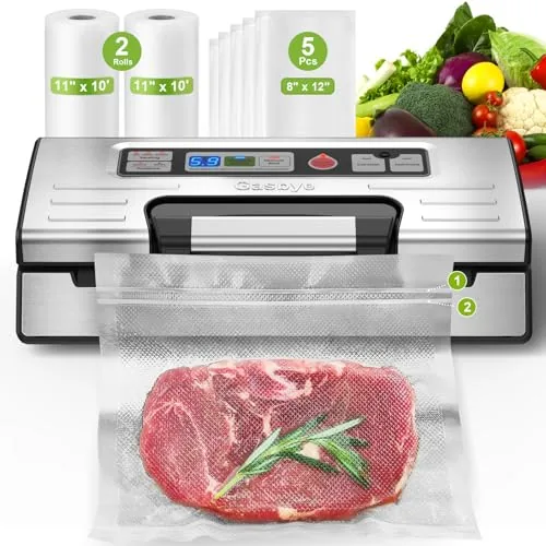 Gasbye VS5166 95kPa Vacuum Sealer with Double Heat Seal