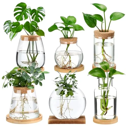Honeydak 6-Piece Glass Propagation Station Set with Bamboo Stand